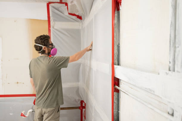 Best Commercial Mold Inspection  in Roseville, MN