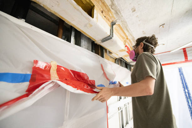 Best Black Mold Removal  in Roseville, MN